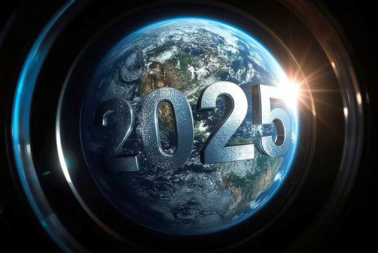 Look Back at 2025